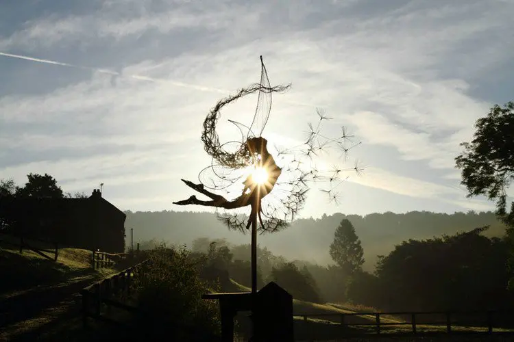 fairy dandelion curved countryside