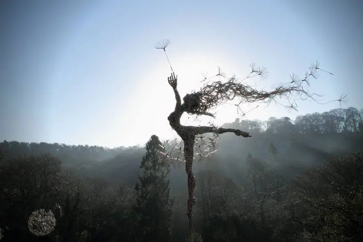 fairy dandelion dancing trees