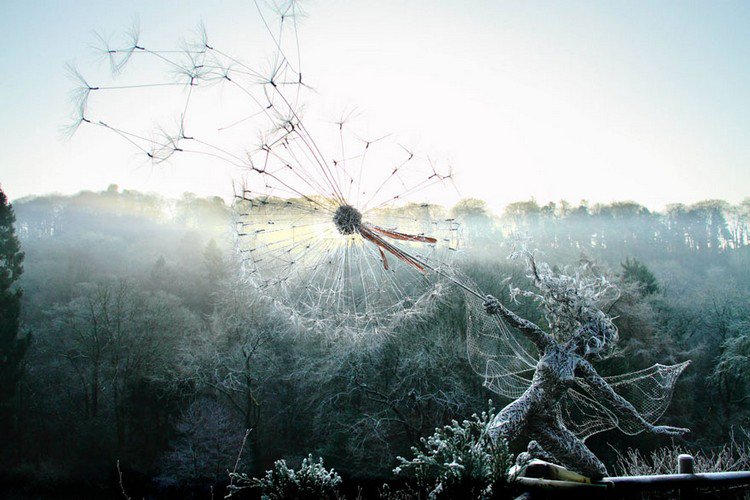 frosty fairy dandelion