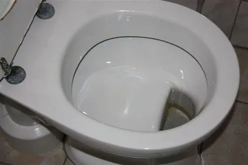 germany toilet
