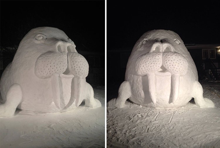 giant-snow-sculptures-bartz-brothers-giant-walrus-next