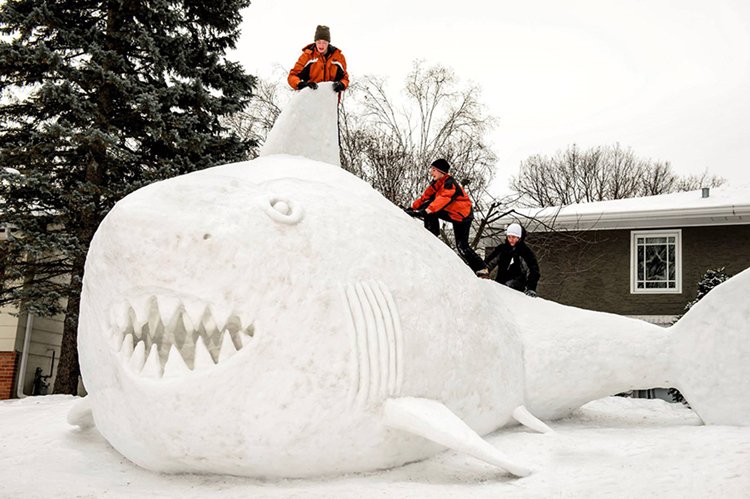 giant-snow-sculptures-bartz-brothers-shark-top