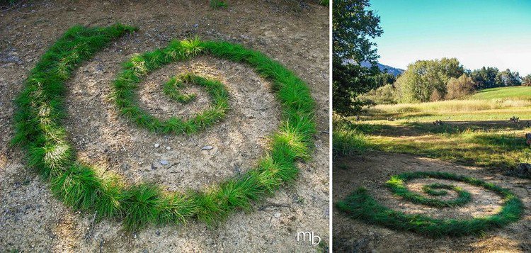 grass swirls