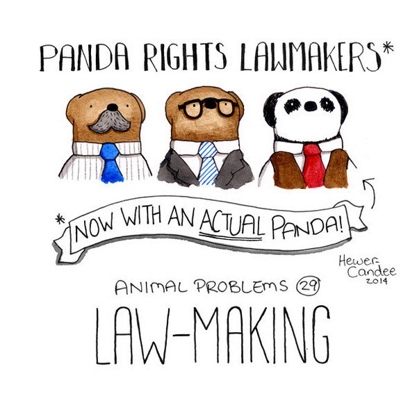 law making