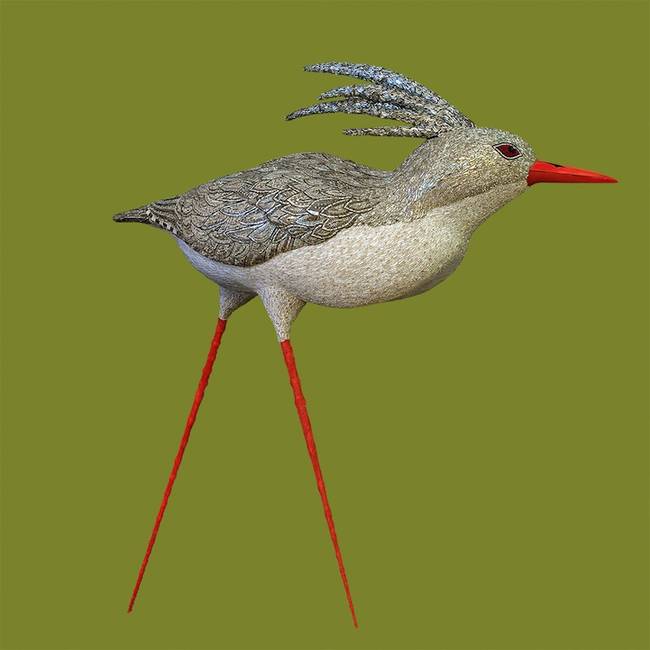 long legs bird