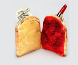 peanut butter and jelly purse