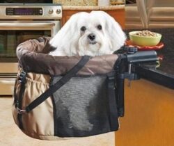 pet booster seat