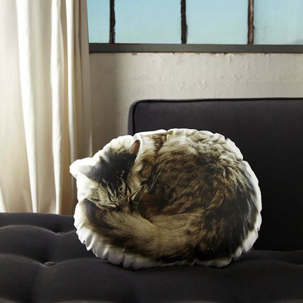 pillow-cat