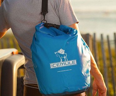 portable backpack cooler