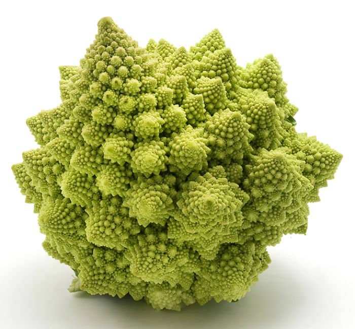 Romanesco broccoli