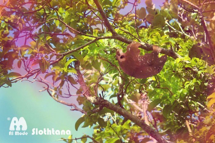 slothtana