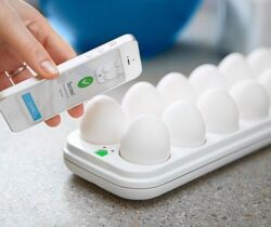 smart egg tray