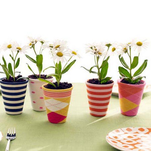 sock pots flowers