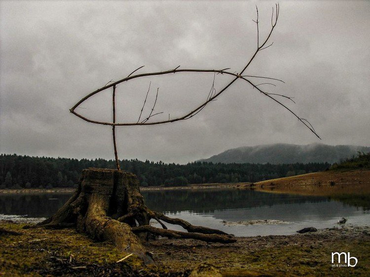 stick fish tree trunk