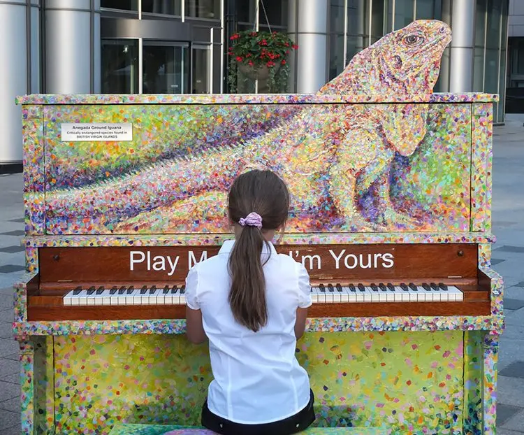 street-pianos-play-me-im-yours-project-iguana