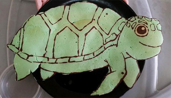 turtle pancake