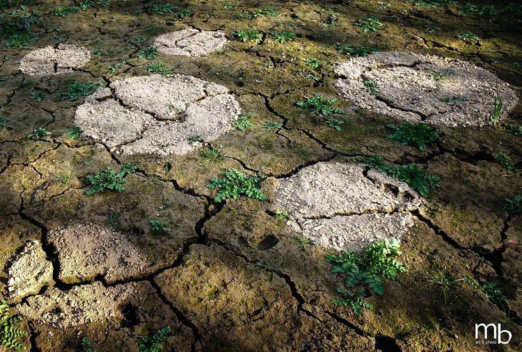 white circles on ground