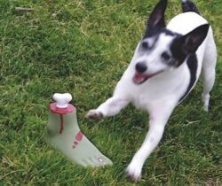 zombie foot dog toy