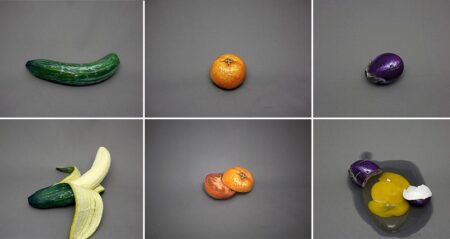 Artist Disguises Foods