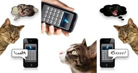 Human-To-Cat Translator App