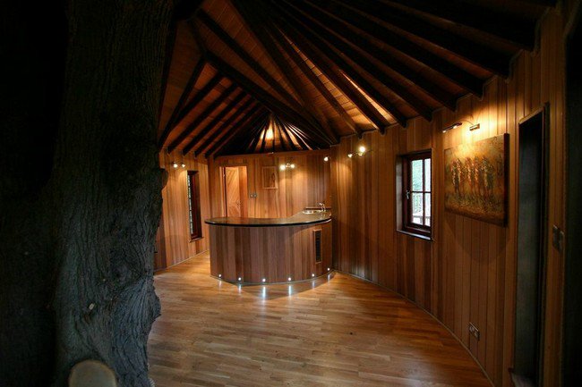 adult-tree-house-in