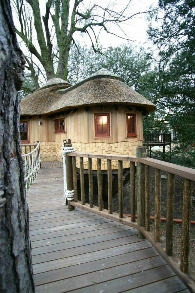 adult-tree-house-section