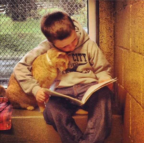 boy reading to cat