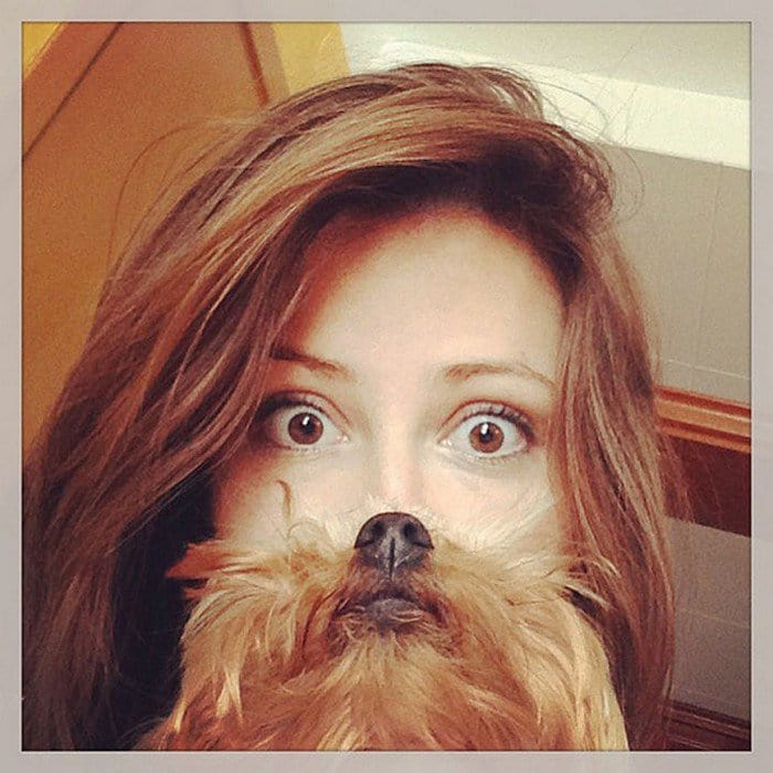 brown hair dog beard