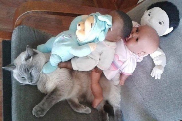 cat baby dolls