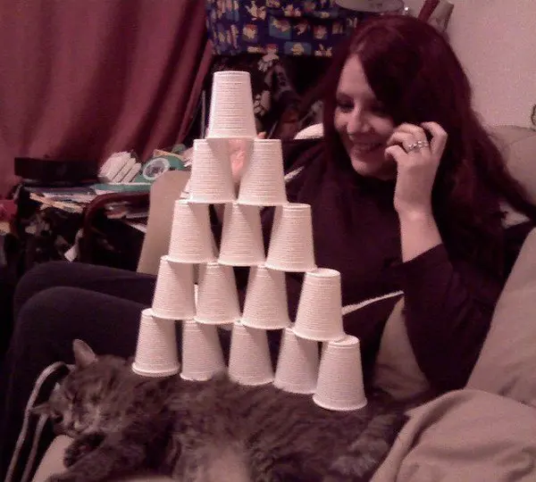 cups stacked cat