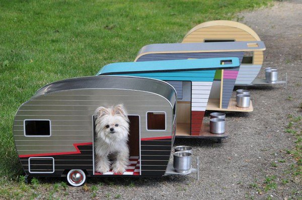 dog caravan