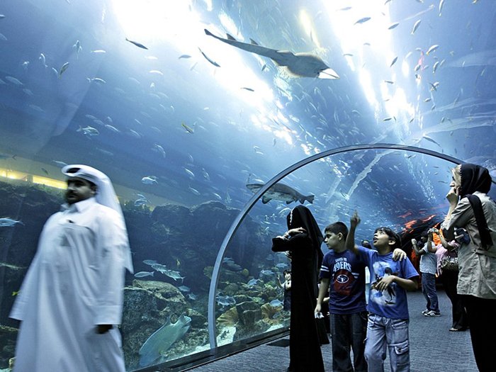 dubai-mall-aquarium-shark