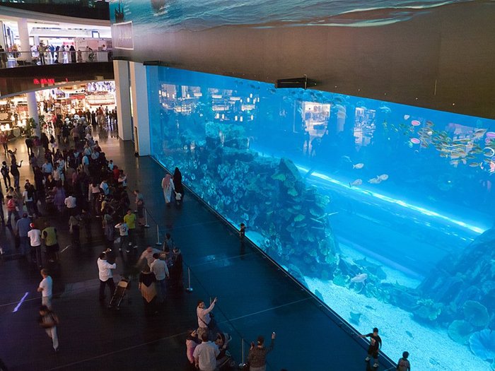 dubai-mall-aquarium-top