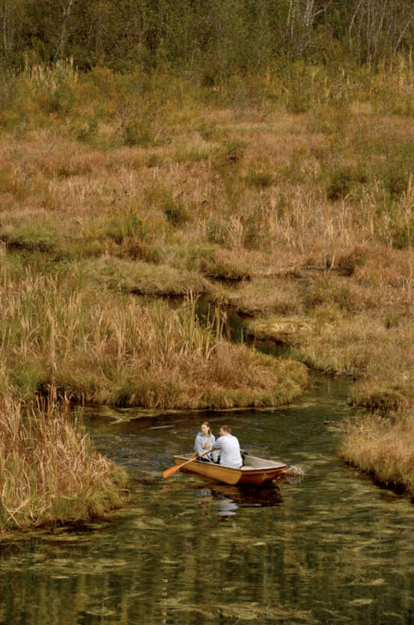 forest-boat