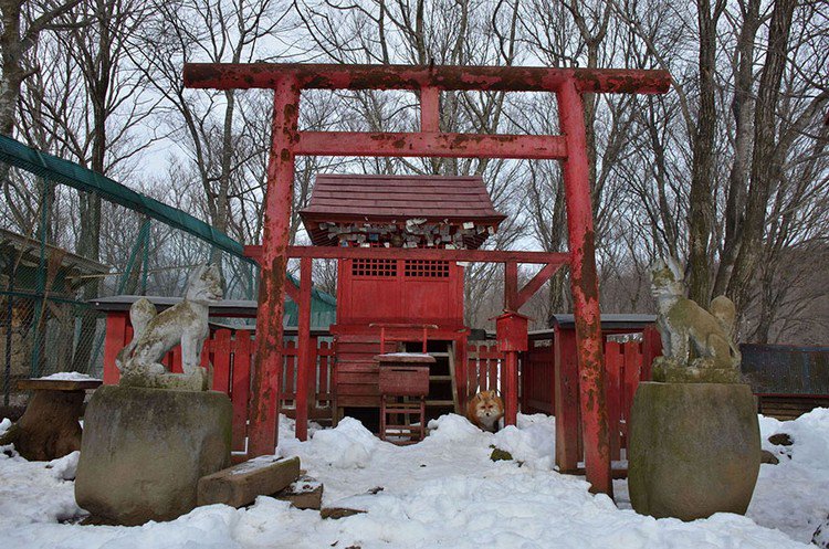 fox shrine