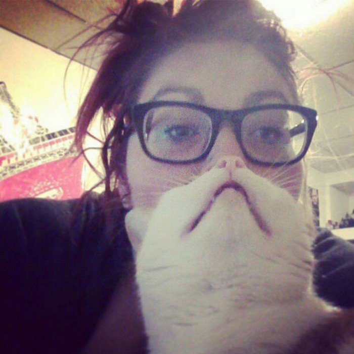 girl glasses cat beard