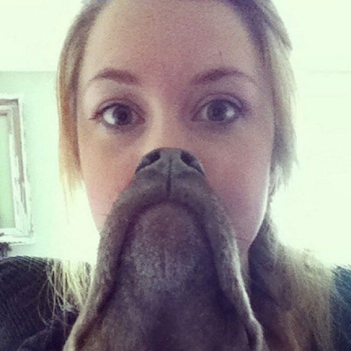 girl goatee dog beard