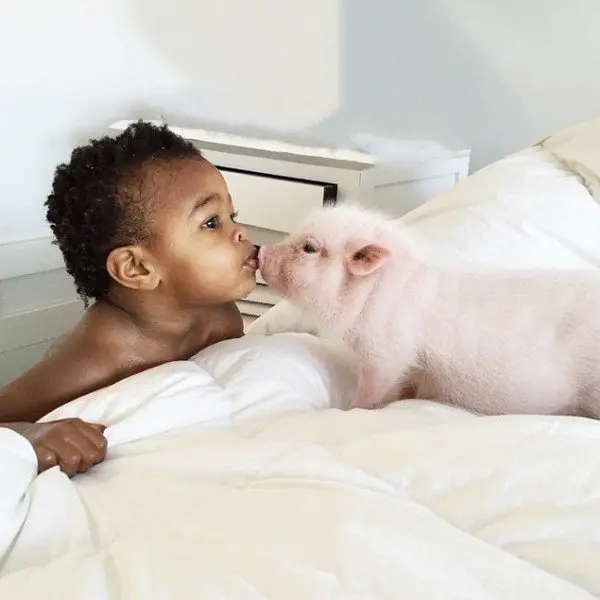 girl kissing pig