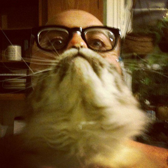 glasses man cat beard