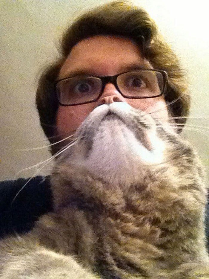 guy glasses cat beard