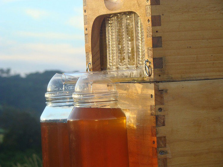 honey flowing jars