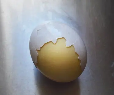 in shell egg scrambler golden