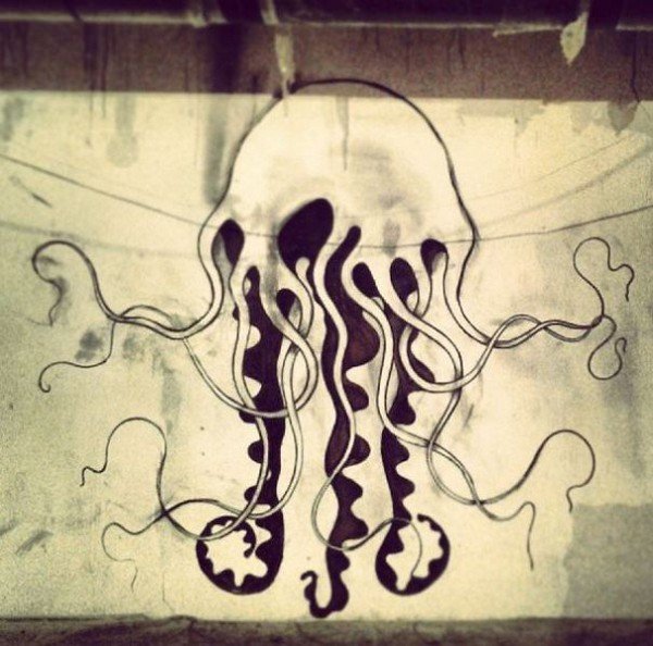 jellyfish line drawing wall