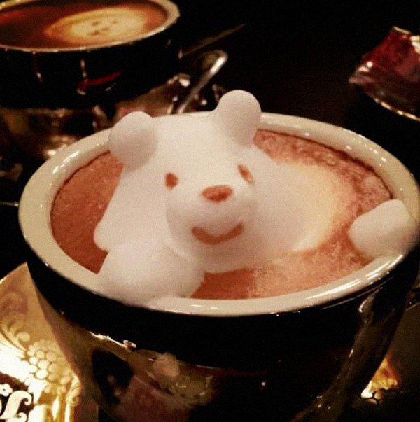 latte bear