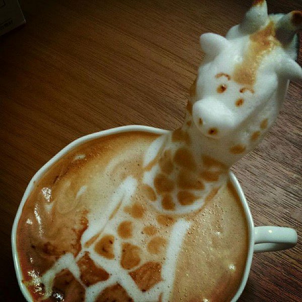 latte giraffe