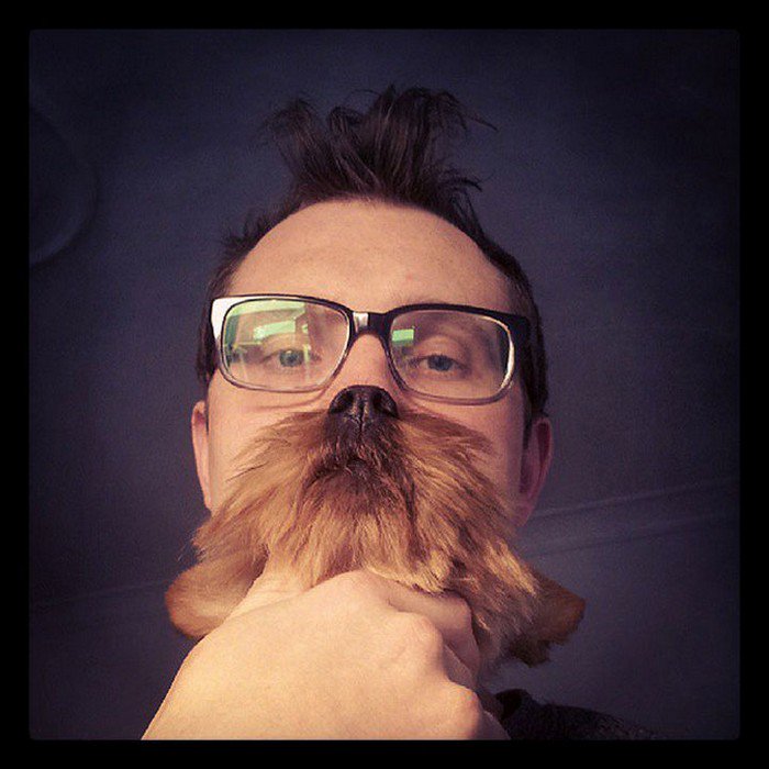 man quiff glasses dog beard