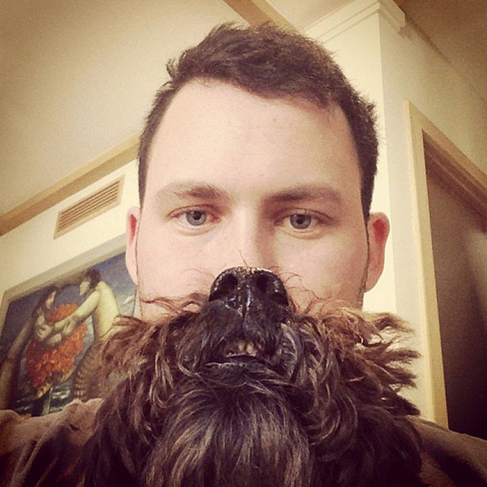 man shaggy black dog beard