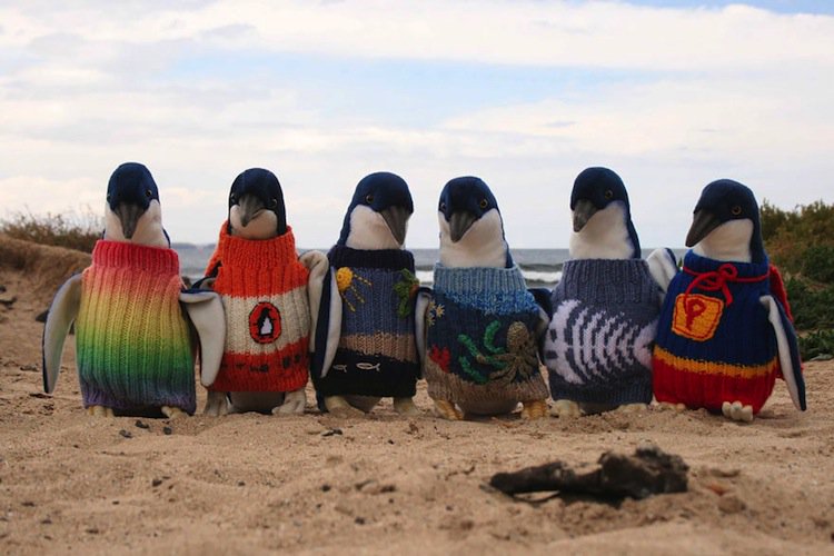 penguins-knitted