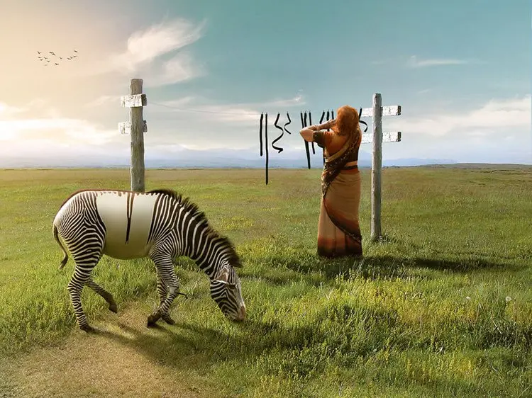 photo-manipulation-zebra