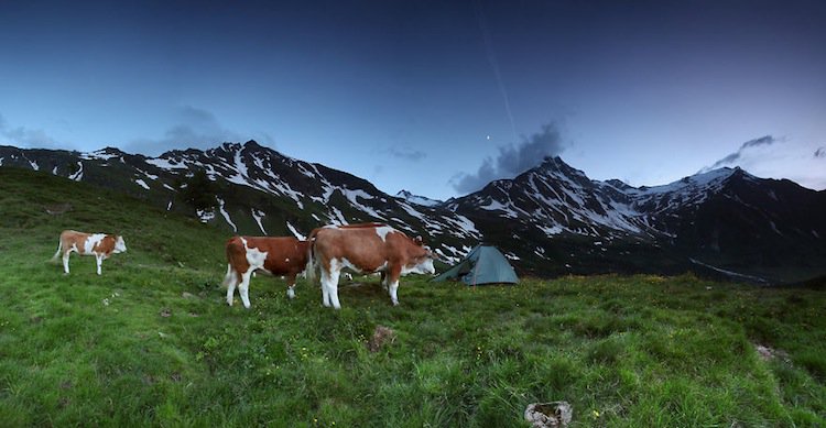 tent-tauern